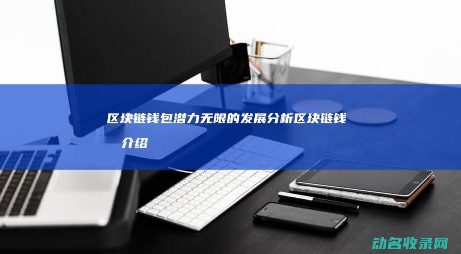 区块链钱包 潜力无限的发展分析 (区块链钱包介绍)