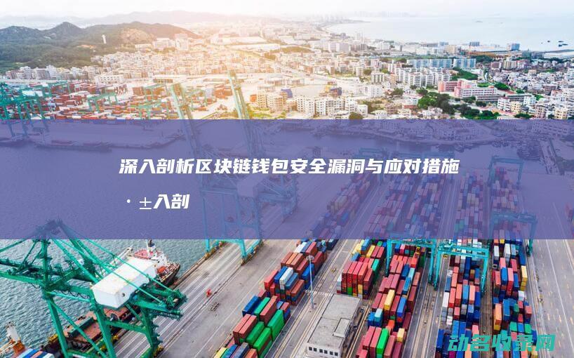 深入剖析区块链钱包安全漏洞与应对措施 (深入剖析区块链工作)
