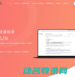 外贸网站推广